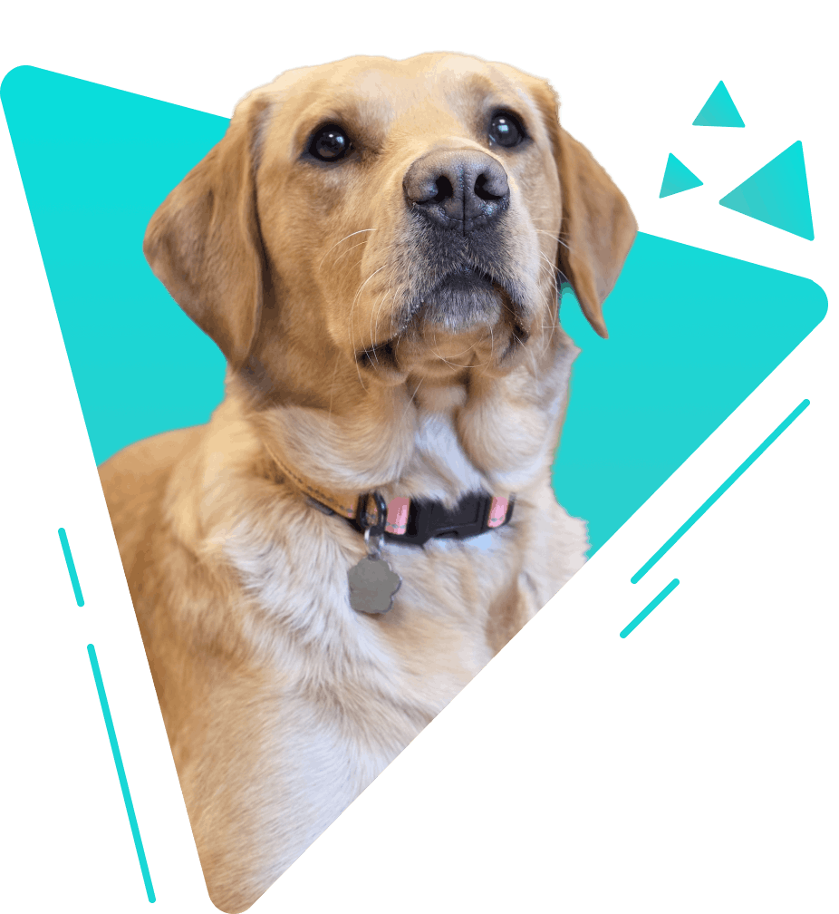 Stella, Barketing Manager at Dynamically